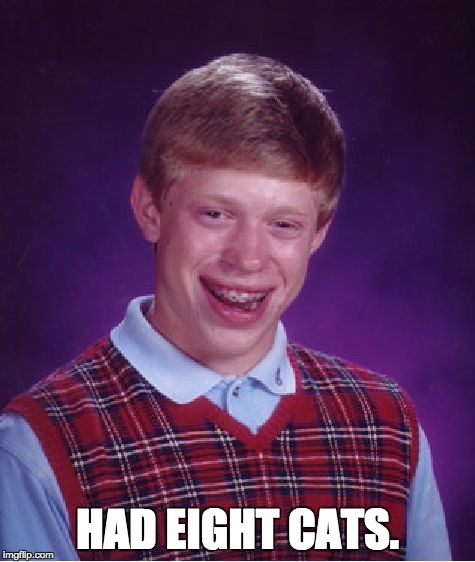 Bad Luck Brian Meme | HAD EIGHT CATS. | image tagged in memes,bad luck brian | made w/ Imgflip meme maker