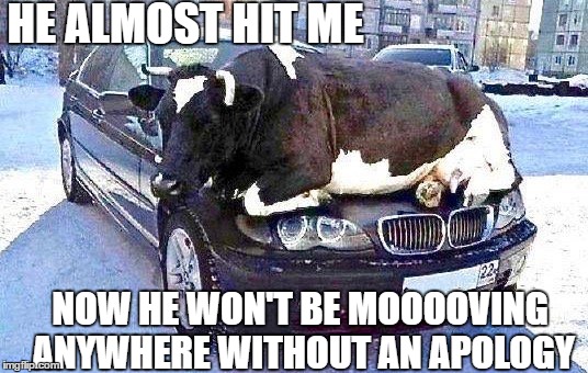 Someone a bit mooody today | HE ALMOST HIT ME; NOW HE WON'T BE MOOOOVING ANYWHERE WITHOUT AN APOLOGY | image tagged in memes,cow,car,moving | made w/ Imgflip meme maker