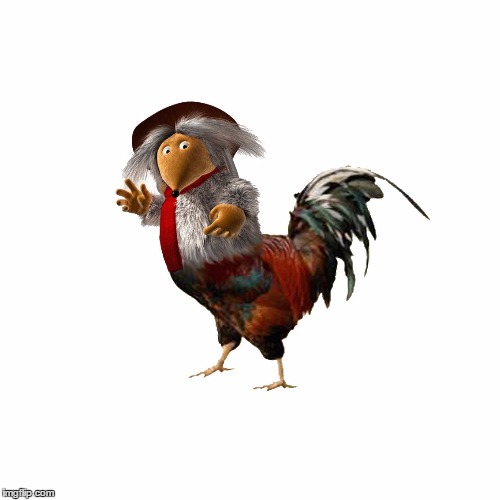 Cockwomble | image tagged in cockwomble | made w/ Imgflip meme maker
