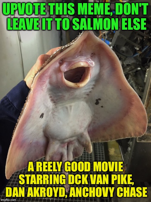 Gillty of re-inventing the whale | UPVOTE THIS MEME, DON'T LEAVE IT TO SALMON ELSE; A REELY GOOD MOVIE STARRING DCK VAN PIKE, DAN AKROYD, ANCHOVY CHASE | image tagged in what the fish,memes | made w/ Imgflip meme maker