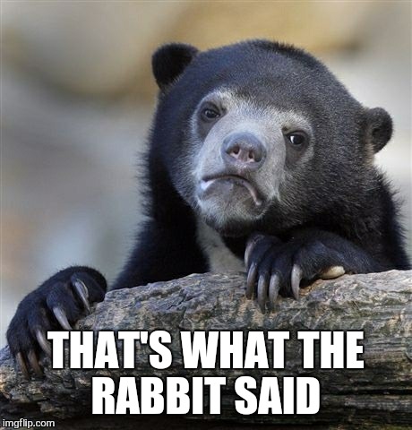 Confession Bear Meme | THAT'S WHAT THE RABBIT SAID | image tagged in memes,confession bear | made w/ Imgflip meme maker