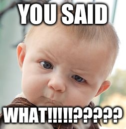 Skeptical Baby | YOU SAID; WHAT!!!!!????? | image tagged in memes,skeptical baby | made w/ Imgflip meme maker