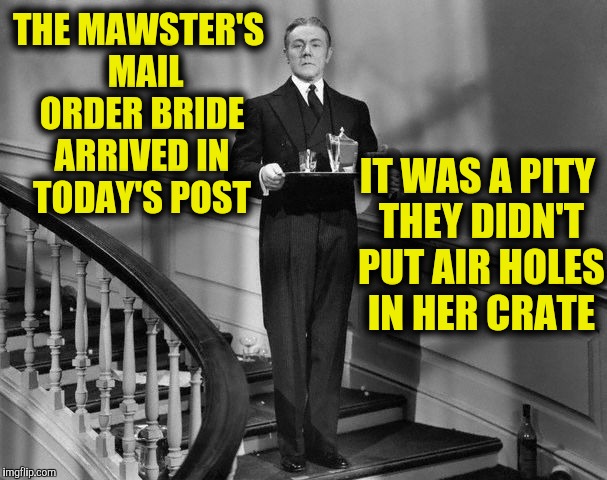 THE MAWSTER'S 
MAIL ORDER BRIDE ARRIVED IN TODAY'S POST IT WAS A PITY THEY DIDN'T PUT AIR HOLES IN HER CRATE | made w/ Imgflip meme maker