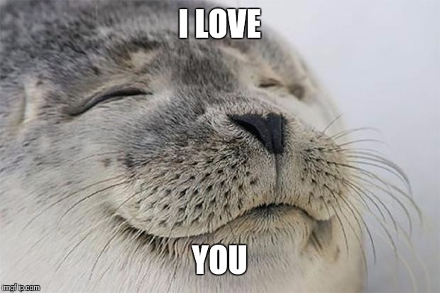 The Love Project continues: spread the word, spread the love | I LOVE; YOU | image tagged in memes,satisfied seal | made w/ Imgflip meme maker