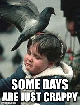 Bird Poop Blues | ARE JUST CRAPPY; SOME DAYS | image tagged in bird poop blues | made w/ Imgflip meme maker