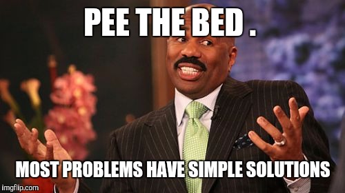 Steve Harvey Meme | PEE THE BED . MOST PROBLEMS HAVE SIMPLE SOLUTIONS | image tagged in memes,steve harvey | made w/ Imgflip meme maker