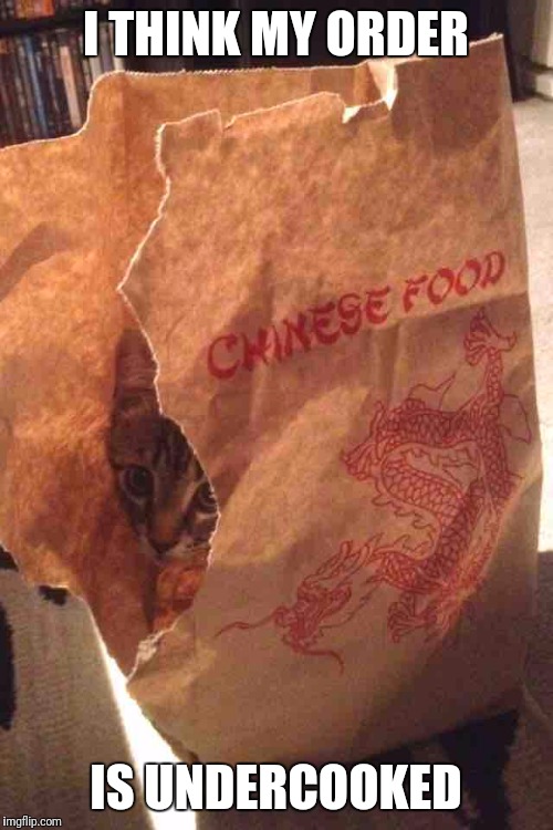 General Meow's Chicken | I THINK MY ORDER; IS UNDERCOOKED | image tagged in chinese food,cats | made w/ Imgflip meme maker
