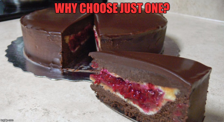 WHY CHOOSE JUST ONE? | made w/ Imgflip meme maker