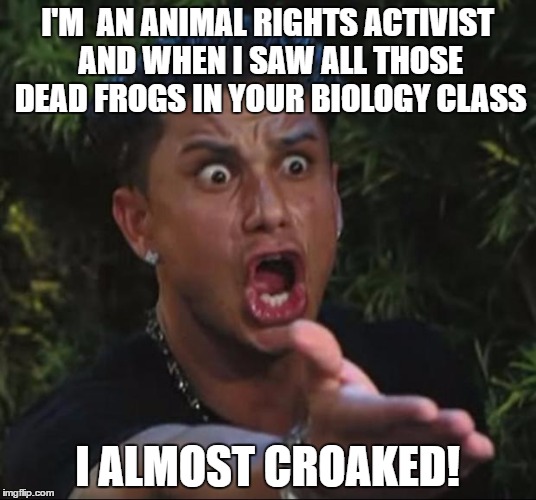 DJ Pauly D Meme | I'M  AN ANIMAL RIGHTS ACTIVIST AND WHEN I SAW ALL THOSE DEAD FROGS IN YOUR BIOLOGY CLASS; I ALMOST CROAKED! | image tagged in memes,dj pauly d | made w/ Imgflip meme maker