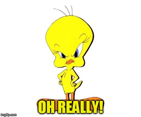 OH REALLY! | made w/ Imgflip meme maker