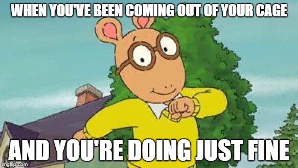 Arthur | WHEN YOU'VE BEEN COMING OUT OF YOUR CAGE; AND YOU'RE DOING JUST FINE | image tagged in arthur | made w/ Imgflip meme maker