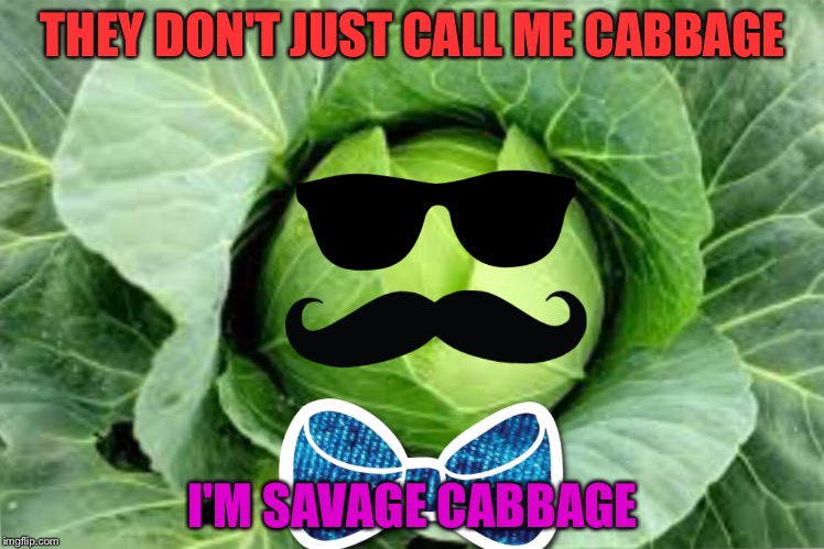 Cabbage | THEY DON'T JUST CALL ME CABBAGE; I'M SAVAGE CABBAGE | image tagged in funny | made w/ Imgflip meme maker