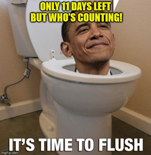 ONLY 11 DAYS LEFT BUT WHO'S COUNTING! | image tagged in flush obama | made w/ Imgflip meme maker