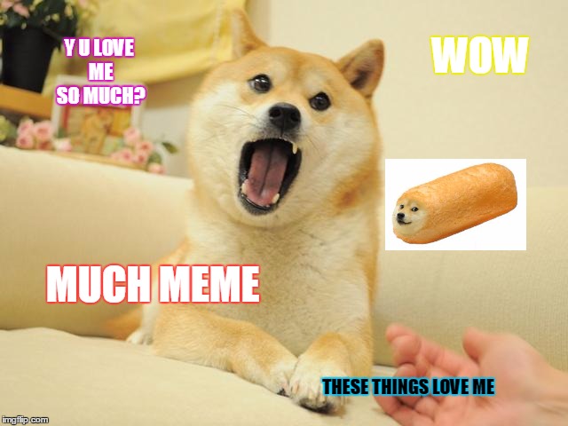 Much Doge | Y U LOVE ME SO MUCH? WOW; MUCH MEME; THESE THINGS LOVE ME | image tagged in much doge | made w/ Imgflip meme maker