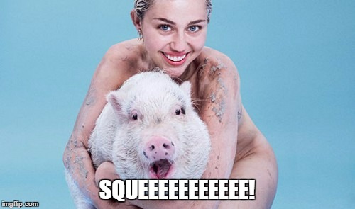 SQUEEEEEEEEEEE! | made w/ Imgflip meme maker