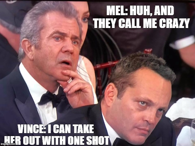 golden globes | MEL: HUH, AND THEY CALL ME CRAZY; VINCE: I CAN TAKE HER OUT WITH ONE SHOT | image tagged in golden globes | made w/ Imgflip meme maker