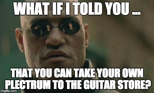 Matrix Morpheus Meme | WHAT IF I TOLD YOU ... THAT YOU CAN TAKE
YOUR OWN PLECTRUM TO THE GUITAR STORE? | image tagged in memes,matrix morpheus | made w/ Imgflip meme maker