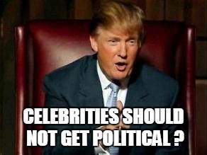 Donald Trump | CELEBRITIES SHOULD NOT GET POLITICAL ? | image tagged in donald trump | made w/ Imgflip meme maker
