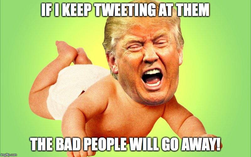IF I KEEP TWEETING AT THEM; THE BAD PEOPLE WILL GO AWAY! | image tagged in donald trump,crybaby,safe space,twitter,notmypresident | made w/ Imgflip meme maker