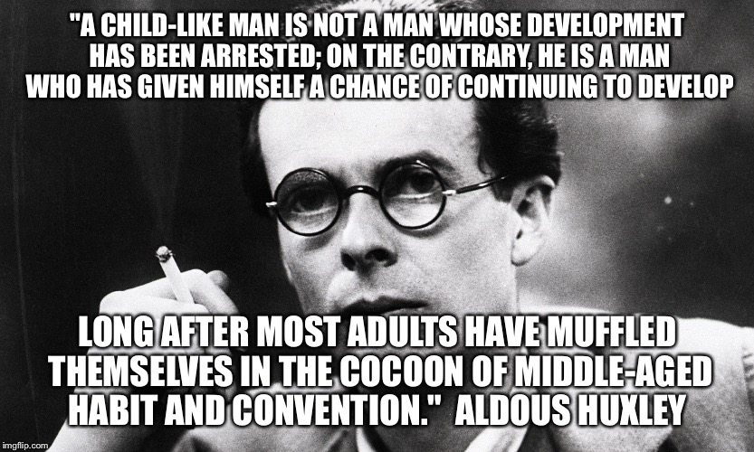 "A CHILD-LIKE MAN IS NOT A MAN WHOSE DEVELOPMENT HAS BEEN ARRESTED; ON THE CONTRARY, HE IS A MAN WHO HAS GIVEN HIMSELF A CHANCE OF CONTINUING TO DEVELOP; LONG AFTER MOST ADULTS HAVE MUFFLED THEMSELVES IN THE COCOON OF MIDDLE-AGED HABIT AND CONVENTION."

ALDOUS HUXLEY | image tagged in aldous huxley | made w/ Imgflip meme maker