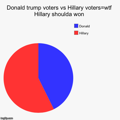 Donald trump voters vs Hillary voters=wtf Hillary shoulda won | Hillary, Donald | image tagged in funny,pie charts | made w/ Imgflip chart maker