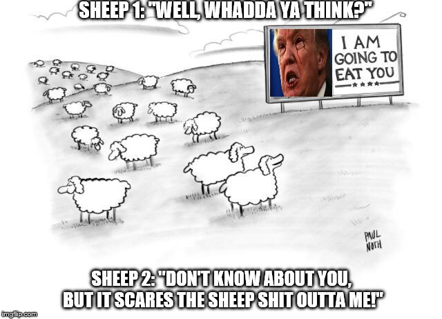 sheep on trump | SHEEP 1: "WELL, WHADDA YA THINK?"; SHEEP 2: "DON'T KNOW ABOUT YOU, BUT IT SCARES THE SHEEP SHIT OUTTA ME!" | image tagged in sheep,sheeple,anti trump,politics,too funny | made w/ Imgflip meme maker