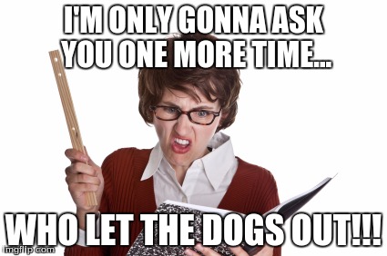 I'M ONLY GONNA ASK YOU ONE MORE TIME... WHO LET THE DOGS OUT!!! | image tagged in angry teacher,teacher | made w/ Imgflip meme maker
