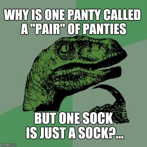 Philosoraptor | WHY IS ONE PANTY CALLED A "PAIR" OF PANTIES; BUT ONE SOCK IS JUST A SOCK?... | image tagged in memes,philosoraptor | made w/ Imgflip meme maker
