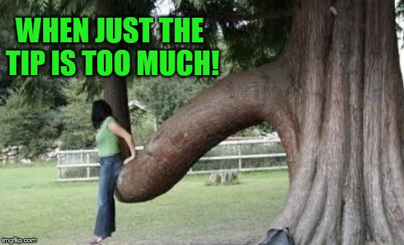 WHEN JUST THE TIP IS TOO MUCH! | made w/ Imgflip meme maker