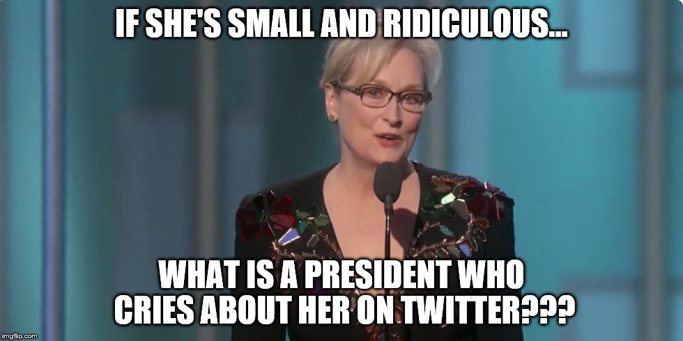 Meryl Streep | IF SHE'S SMALL AND RIDICULOUS... WHAT IS A PRESIDENT WHO CRIES ABOUT HER ON TWITTER??? | image tagged in meryl streep | made w/ Imgflip meme maker
