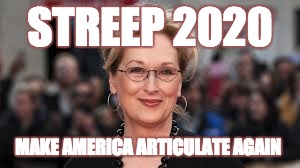 streep 2020 | STREEP 2020; MAKE AMERICA ARTICULATE AGAIN | image tagged in merylstreep | made w/ Imgflip meme maker