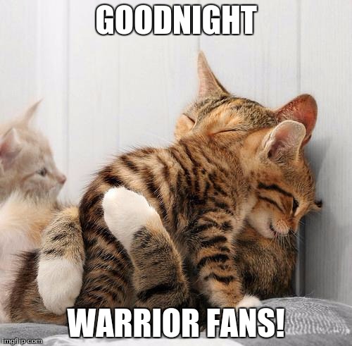 sleepy kittens | GOODNIGHT; WARRIOR FANS! | image tagged in consoling kittens | made w/ Imgflip meme maker