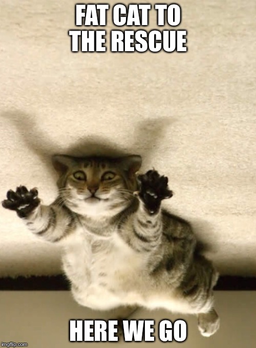 FAT CAT TO THE RESCUE HERE WE GO | made w/ Imgflip meme maker