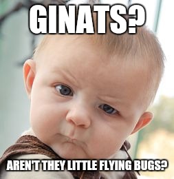 Skeptical Baby Meme | GINATS? AREN'T THEY LITTLE FLYING BUGS? | image tagged in memes,skeptical baby | made w/ Imgflip meme maker