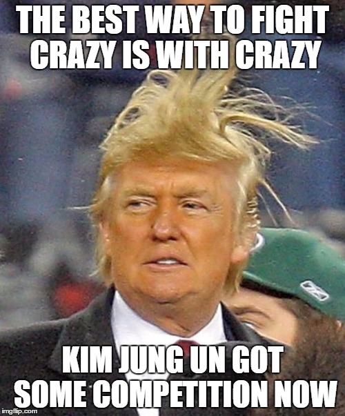 Donald Trumph hair | THE BEST WAY TO FIGHT CRAZY IS WITH CRAZY; KIM JUNG UN GOT SOME COMPETITION NOW | image tagged in donald trumph hair | made w/ Imgflip meme maker