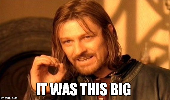 One Does Not Simply Meme | IT WAS THIS BIG | image tagged in memes,one does not simply | made w/ Imgflip meme maker