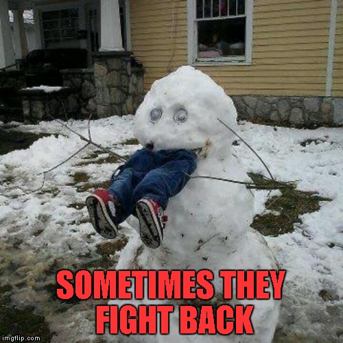 SOMETIMES THEY FIGHT BACK | made w/ Imgflip meme maker