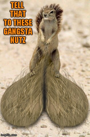 TELL THAT TO THESE GANGSTA NUTZ | made w/ Imgflip meme maker