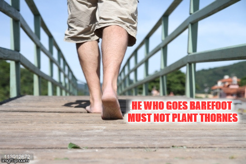 HE WHO GOES BAREFOOT MUST NOT PLANT THORNES | image tagged in barefoot | made w/ Imgflip meme maker