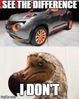 ugly nissan | SEE THE DIFFERENCE; I DON'T | image tagged in nissan,juke,dodo bird,dodo,ugly | made w/ Imgflip meme maker