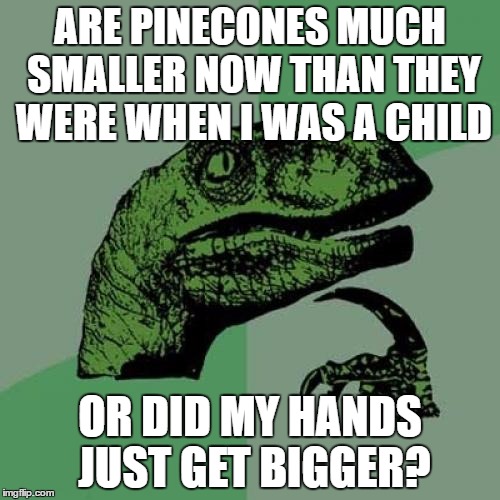 Philosoraptor | ARE PINECONES MUCH SMALLER NOW THAN THEY WERE WHEN I WAS A CHILD; OR DID MY HANDS JUST GET BIGGER? | image tagged in memes,philosoraptor | made w/ Imgflip meme maker