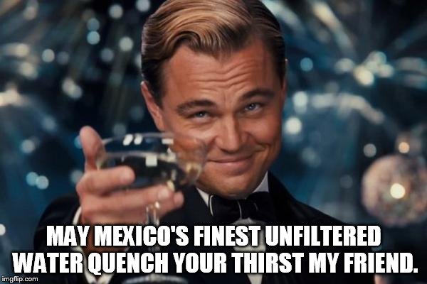 Leonardo Dicaprio Cheers | MAY MEXICO'S FINEST UNFILTERED WATER QUENCH YOUR THIRST MY FRIEND. | image tagged in memes,leonardo dicaprio cheers | made w/ Imgflip meme maker