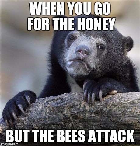 Confession Bear | WHEN YOU GO FOR THE HONEY; BUT THE BEES ATTACK | image tagged in memes,confession bear | made w/ Imgflip meme maker