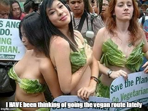 I HAVE been thinking of going the vegan route lately | made w/ Imgflip meme maker