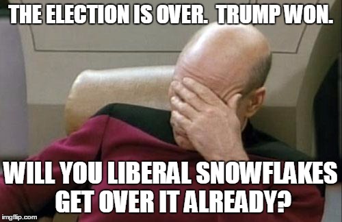 Captain Picard Facepalm Meme | THE ELECTION IS OVER.  TRUMP WON. WILL YOU LIBERAL SNOWFLAKES GET OVER IT ALREADY? | image tagged in memes,captain picard facepalm | made w/ Imgflip meme maker