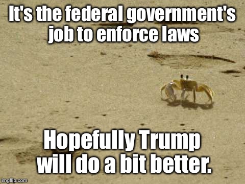 Little Acknowledged Fact Crab | It's the federal government's job to enforce laws Hopefully Trump will do a bit better. | image tagged in little acknowledged fact crab | made w/ Imgflip meme maker