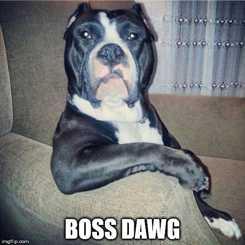 Boss Dawg | BOSS DAWG | image tagged in like a boss | made w/ Imgflip meme maker
