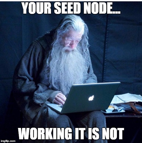 gandalf programmer | YOUR SEED NODE... WORKING IT IS NOT | image tagged in gandalf programmer | made w/ Imgflip meme maker