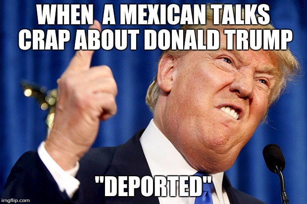 Donald Trump | WHEN  A MEXICAN TALKS CRAP ABOUT DONALD TRUMP; "DEPORTED" | image tagged in donald trump | made w/ Imgflip meme maker