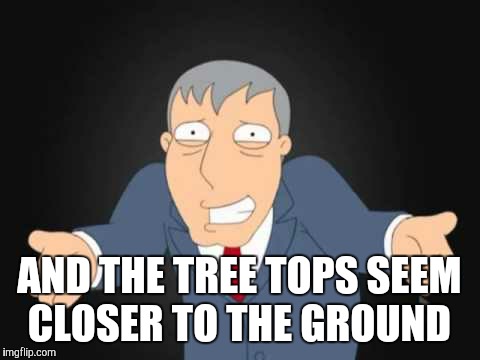 AND THE TREE TOPS SEEM CLOSER TO THE GROUND | made w/ Imgflip meme maker